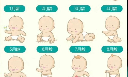 婴儿菠菜粥